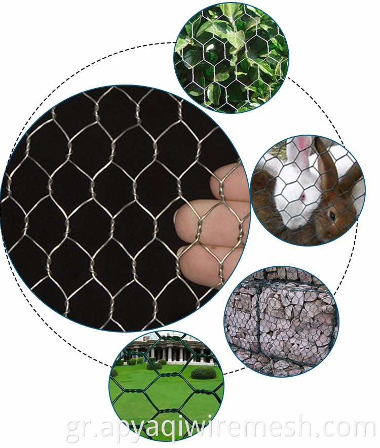 1/2 ιντσών γαλβανισμένο πράσινο PVC επικαλυμμένο εξαγωνικό σύρμα πλέγμα εξάγωνο σύρμα δίχτυ πλαστικό καλώδιο κοτόπουλου πλέγμα
